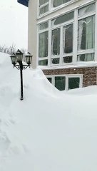 Man Leaps Into Giant Snow Pile