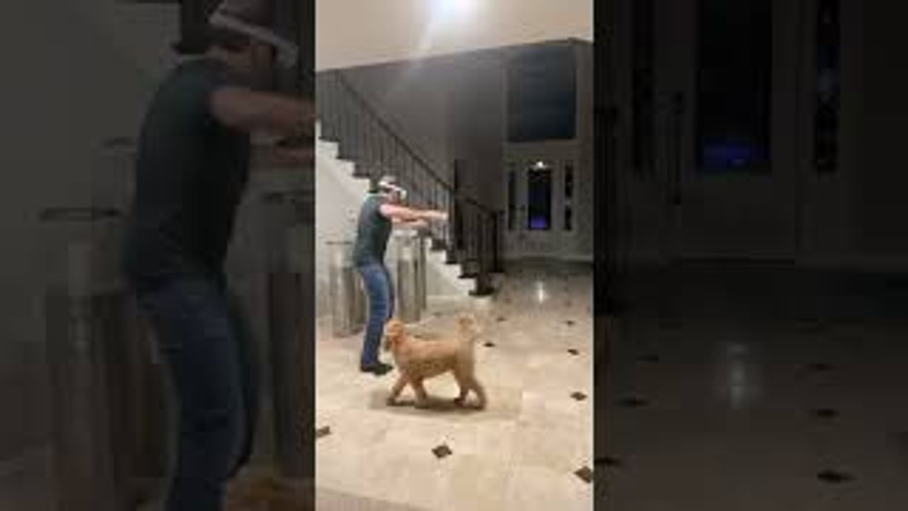 Vase Plays Victim to Virtual Reality Punches