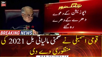 National Assembly passes the Finance Supplementary Bill 2021