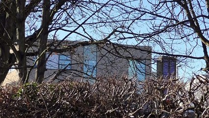 As a secondary school in Cranbrook is set to close, some say it will actually improve students' futures