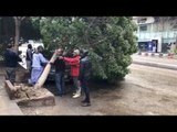المصريين جدعان.. لحظة إنقاذ سيارة قبل سقوط شجرة عليها في الدقي
