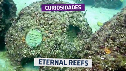 [CH] Descanso eterno en casas para peces