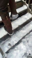 Fiance Thinking he is Picking up Dresser Surprised by Puppy