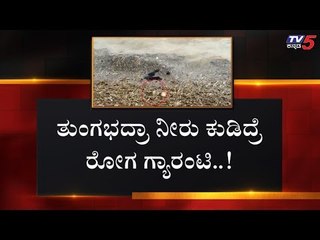 ನೆಮ್ಮದಿಯ ಜೀವನವನ್ನೇ ಕಸಿದುಕೊಂಡ ಪ್ರವಾಹ | Karnataka News | TV5 Kannada
