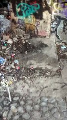 Fort de La Bastille  Grenoble 2022  #France (30)