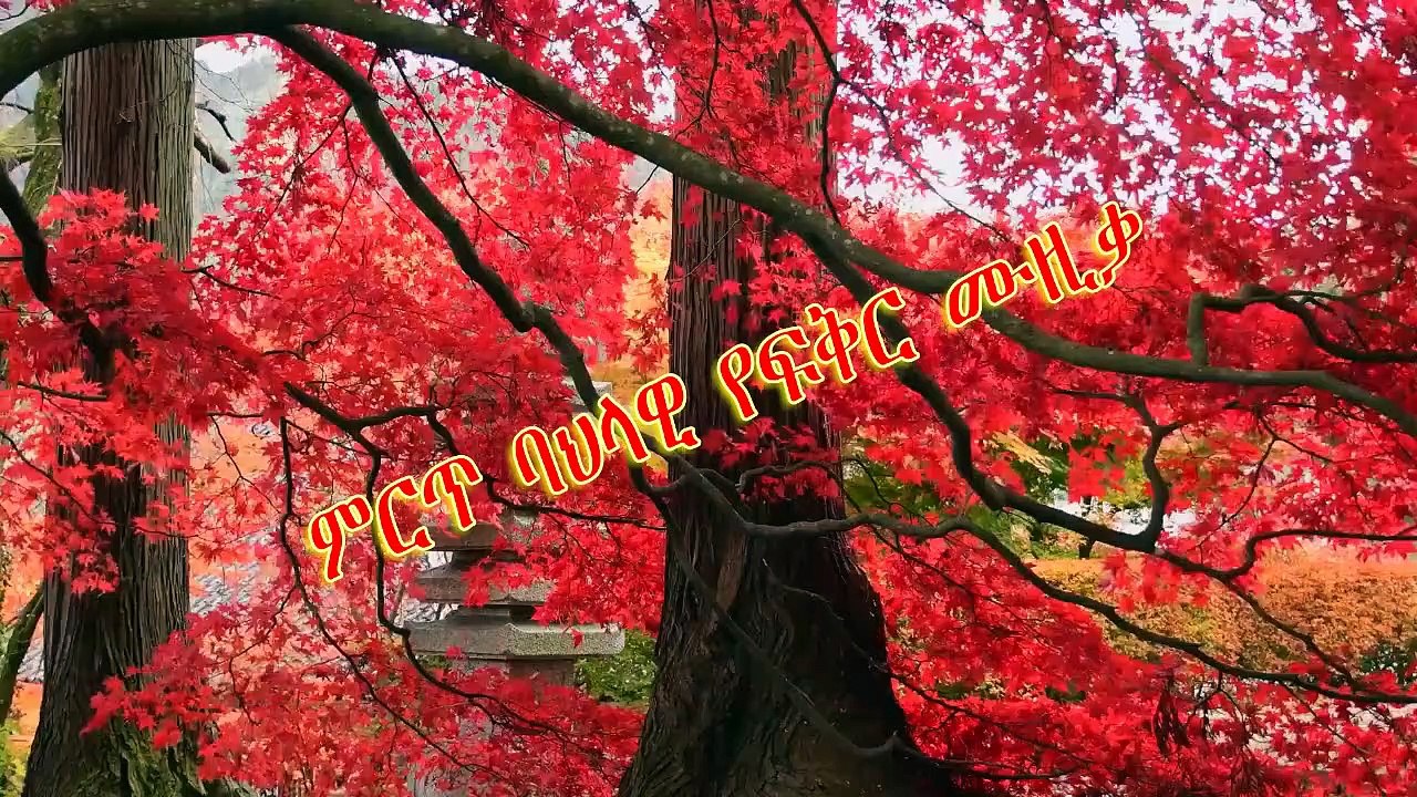 bast classical music1