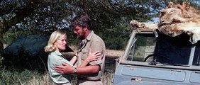 Born Free HD(1966)