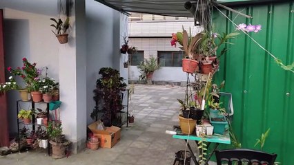 Early morning Rooftop, First-Person short Film POV