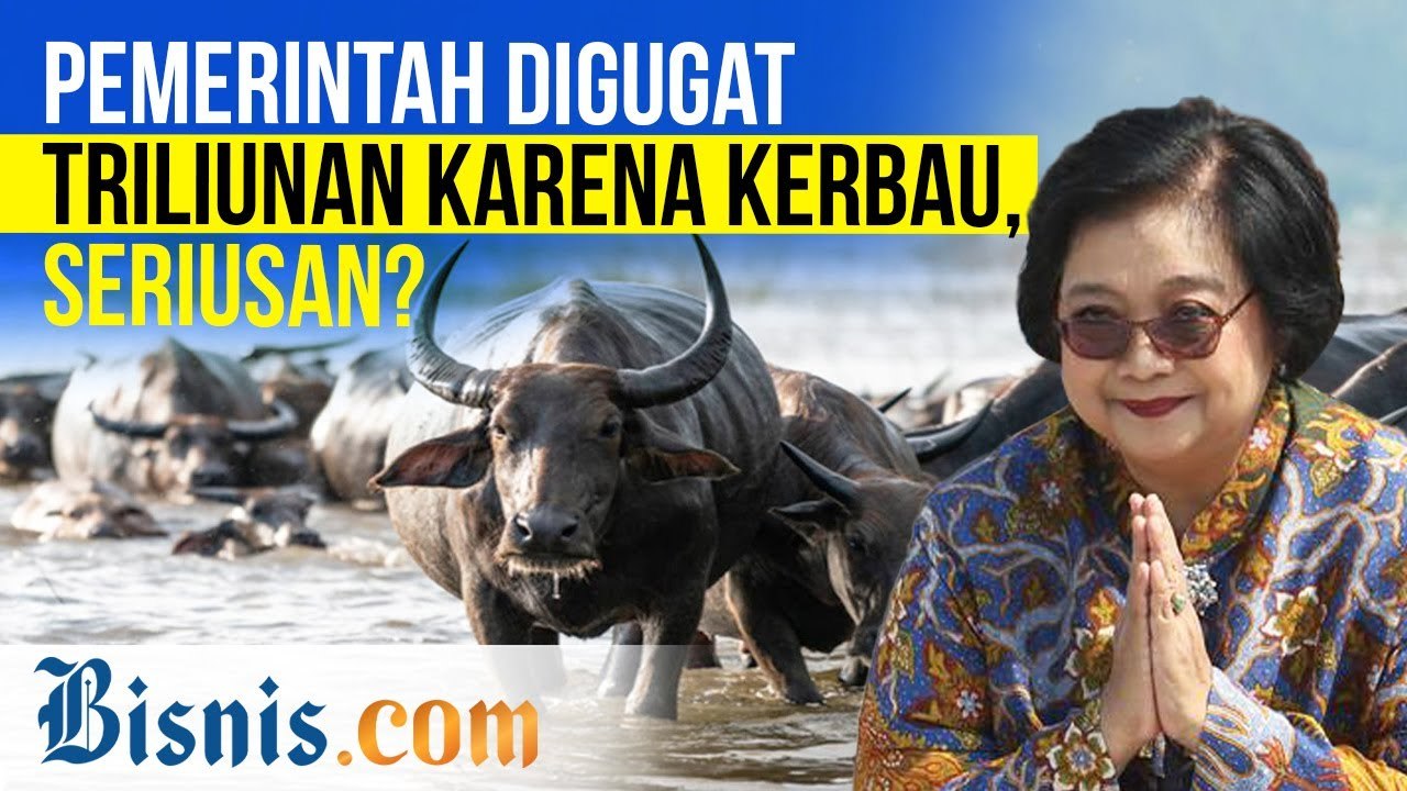 Gara-Gara Kerbau di Pulau Komodo, Menteri LHK Pernah Digugat Rp2,3 Triliun!