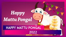 Mattu Pongal 2022 Wishes: Joyful Quotes, Greetings & Images For The Tamil Harvest Festival