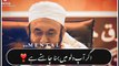 Molana Tariq Jameel Heart Touching Lines | whatsapp status | emotional Life Changing Bayan | Islam | Allah