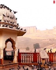 Meri Tarah Teaser | Jubin Nautiyal | Payal Dev | Kunaal Vermaa | Heli Daruwala | Himansh Kohli #JubinsJan