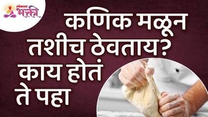 कणिक मळून तशीच ठेवत आहात का? Are you keeping the dough intact? Lokmat Bhakti