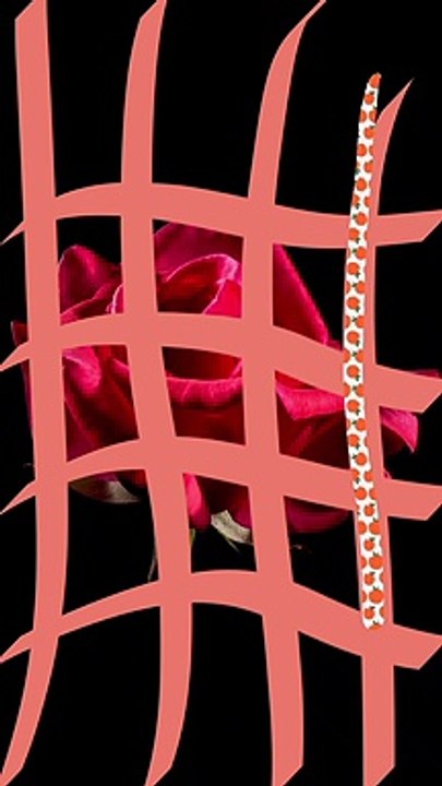 Couple  9791090751149  Thomas Kouros Vidal