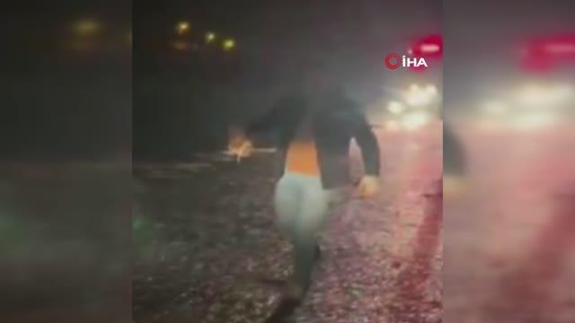 Çukura düşen köpek ve 13 yavrusu kurtarıldı