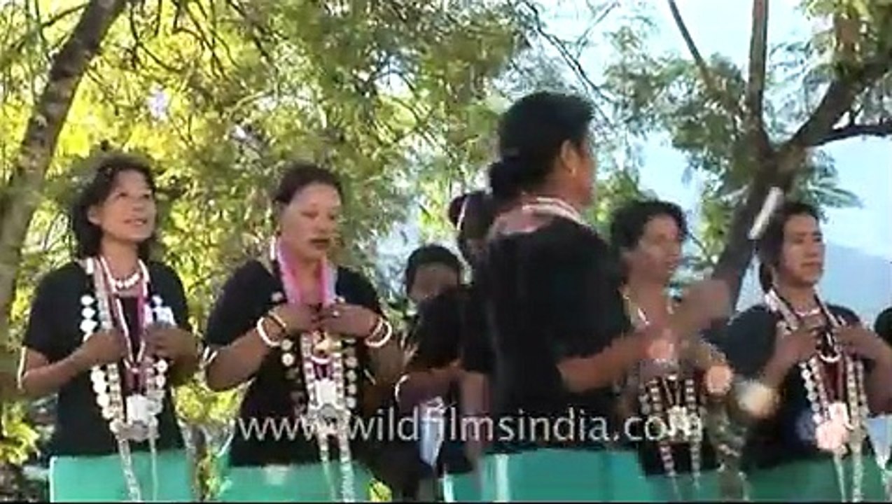 Adi tribe of Arunachal performing Ponung dance