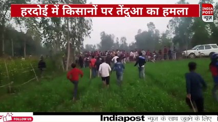 तेंदुआ के हमले में खेत की रखवाली कर रहे किसानों के घायल होने से इलाके में दहशत