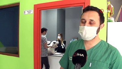 Yasaklı köpek ırklarının kayıt altına alınması için son gün