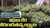 TS Govt Failed to Release Funds For Sangareddy Fruit Research Centre  |_ V6 News