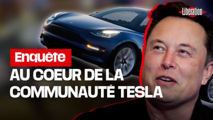 Touche pas à ma Tesla : comment les fans français soignent l’image de la marque