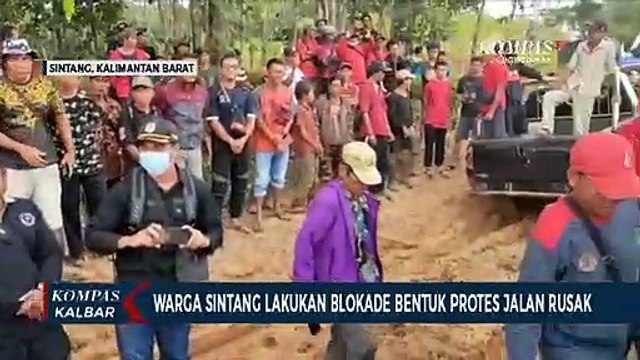 Tebang Pohon untuk Blokade, Bentuk Protes Warga Sintang terhadap Jalan Rusak