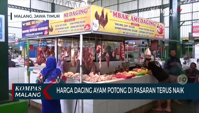 Harga Daging Ayam Potong di Pasar Tradisional Kota Malang Terus Naik