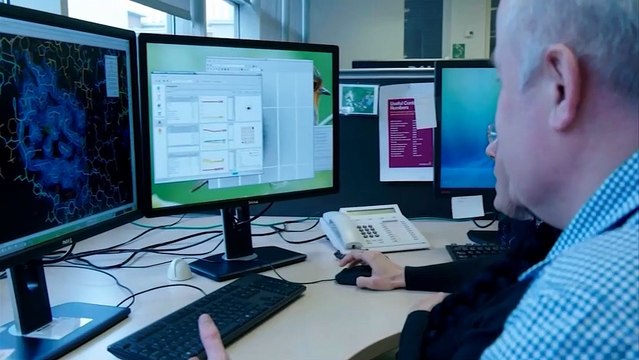 Τσακανίκας: Μικρές οι προσδοκίες μας για την αποτελεσματικότητα των αντιικών φαρμάκων