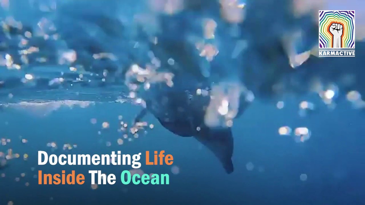 Documenting Life Inside The Ocean