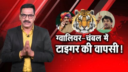 ग्वालियर - चंबल में  टाइगर रिटर्न