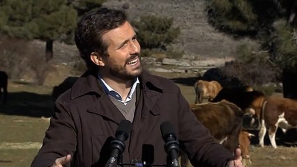 El último disparate de Casado: dice "los cultivos captan" las emisiones de "CO2 de los animales"