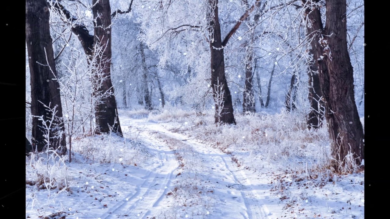 Goose Hollow Blues music and vocal, Dr. Robert Ownby (written by Howard Heifner).