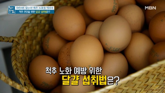 척추 노화 예방 돕는 특별 재료와 함께 [달걀말이]