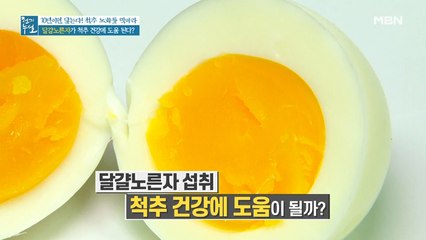 운동인들 주목! 뼈와 근육 동시에 채우는 달걀 섭취법