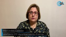 El PP de Palma exige que el PSOE permita de una vez la acogida temporal de mascotas
