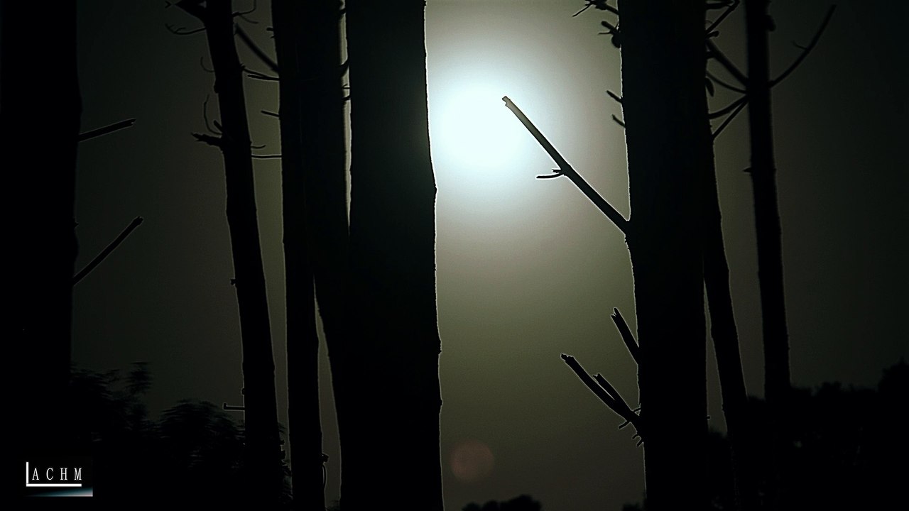 Dark Ambiences,  Sounds For Background In Twitch, Trovo, Others, Royalty Free