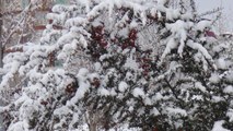 Van'da kar yağışı kartpostallık görüntüler oluşturdu
