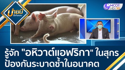 รู้จัก "อหิวาต์แอฟริกา" ในสุกร ป้องกันระบาดซ้ำในอนาคต | บ่ายนี้มีคำตอบ (14 ม.ค.65) OnAir