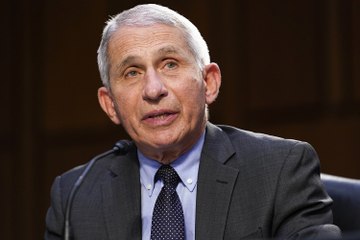 Fauci dice que Omicron 'encontrará a casi todo el mundo'