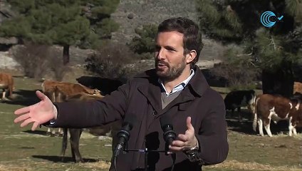 Casado asegura que el PP apoya «toda la ganadería» frente al «intervencionismo comunista» de Garzón