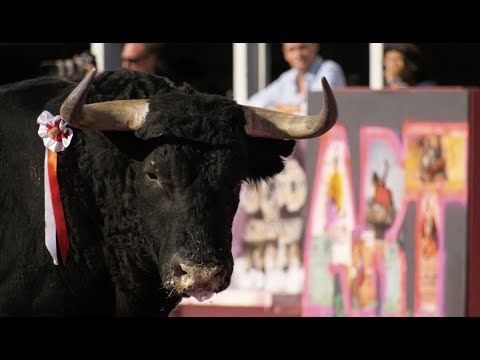 Jean-Baptiste Jalabert, directeur des arènes d'Arles, dévoile les cartels pour la temporada 2022