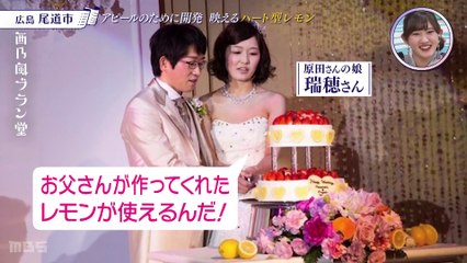 220111-1　西乃風ブラン堂　＃11 UE KW  1080T