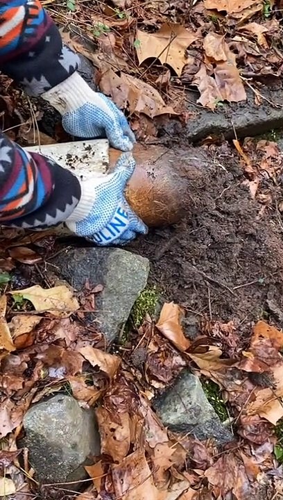 Satisfying Pipe Clog Clearing