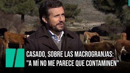 Casado, sobre las macrogranjas: “No me parece que contaminen”