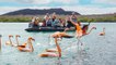 Snorkel With Playful Sea Lions, Swim on White-Sand Beaches, and Go Hiking in the Galapagos