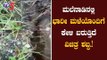 ಮಲೆನಾಡಿನಲ್ಲಿ ಭಾರೀ ಮಳೆಯೊಂದಿಗೆ ಕೇಳಿ ಬರುತ್ತಿದೆ ವಿಚಿತ್ರ ಶಬ್ದ.! | Chikmagalur Rain | TV5 Kannada