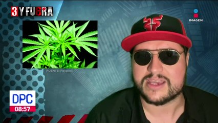 ¿Mariguana podría ayudar a combatir el Covid19?