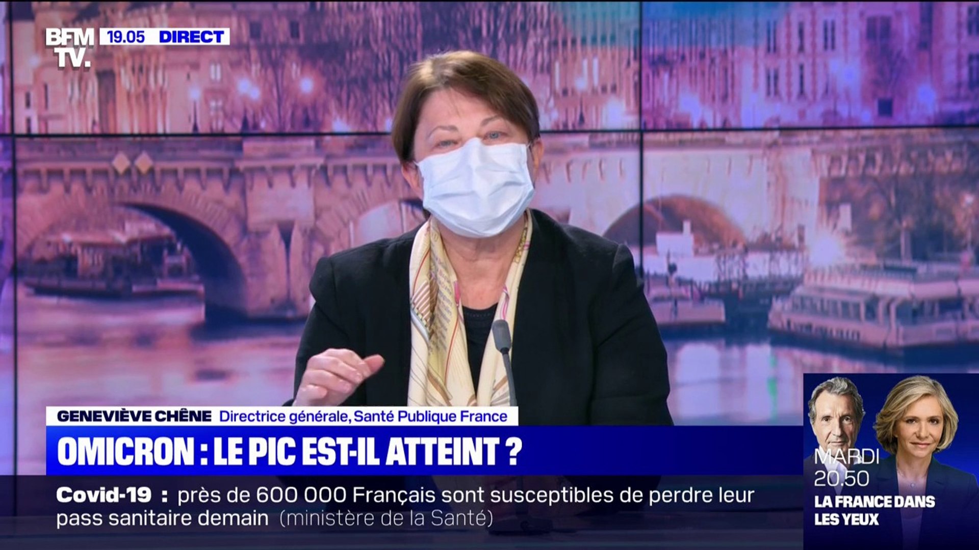 Geneviève Chêne, directrice de Santé Publique France: "1 Français testé sur  5 est positif" au Covid-19 - Vidéo Dailymotion