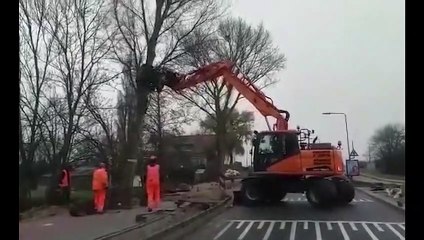 Quand un arbre est un peu plus solide que ton camion-grue !