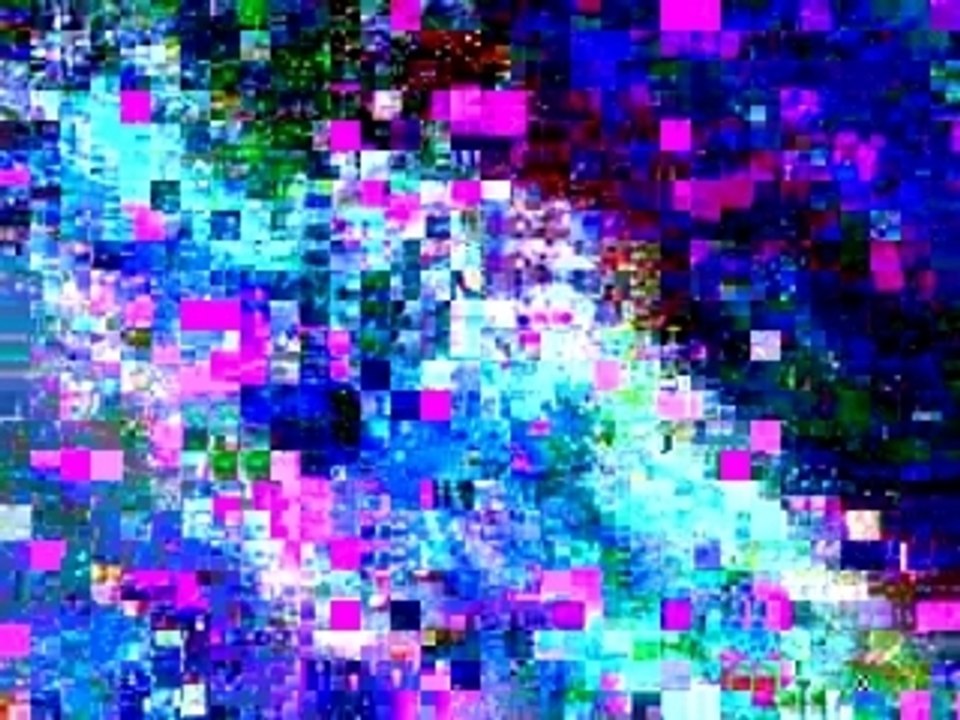 Le Clash sarkozy Roi Heenok