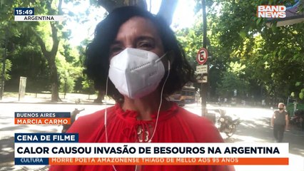 Download Video: Especialistas explicaram que a invasão de milhões de besouros em uma província na Argentina, perto de Buenos Aires, foi provocada pela onda de calor extremo. Direto da capital argentina, a correspondente Marcia Carmo traz as informações.